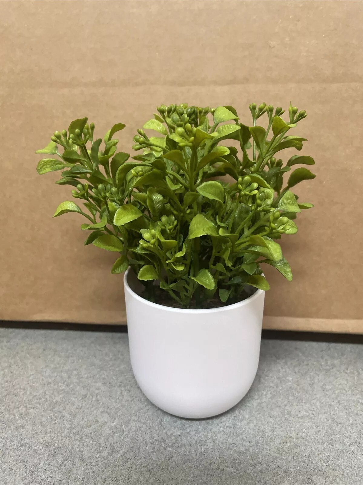 Box of 6 – Threshold Artificial Plants – 8″ Mini Boxwood Green / White Pot -NEW