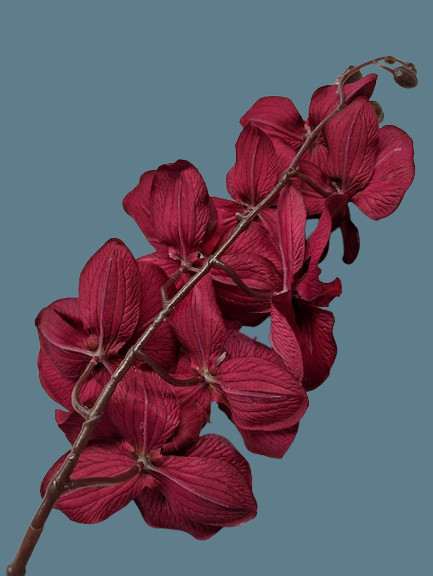 Artificial Phalaenopsis Orchid flower stem DEEP BURGUNDY