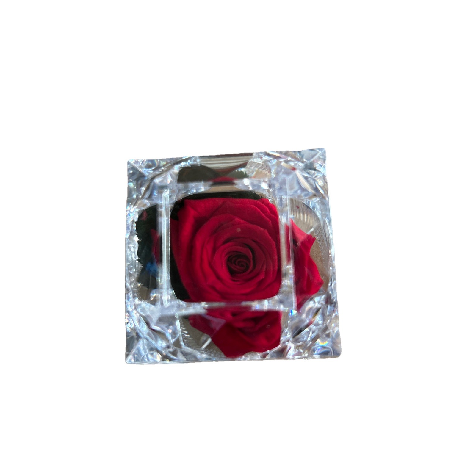 Verdissimo Preserved Eternity Forever Red Rose In Ring Box Valentine Proposal
