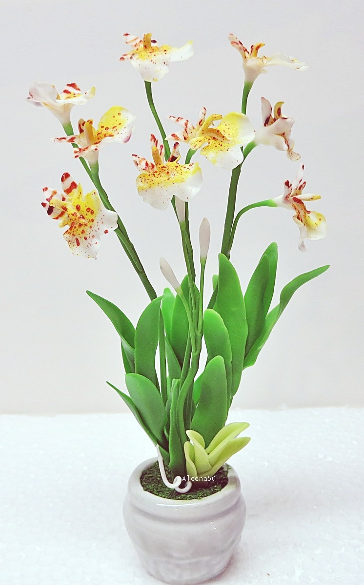 US Stock 7″H Handmade Air-Dry-Clay Miniature Dancing-Lady Orchid Arranged in Pot
