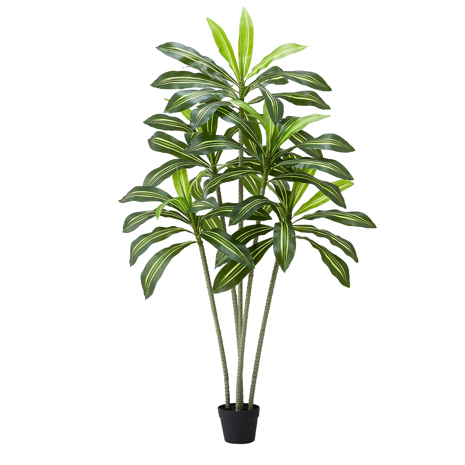 Uimoso 6ft Faux Dracaena Tree with White Pot for Indoor Spaces