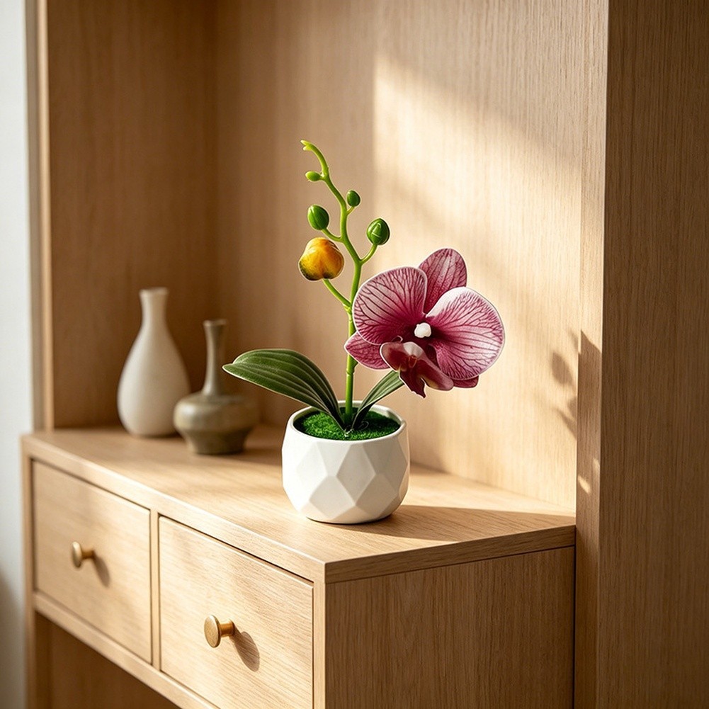Phalaenopsis Floral Reproduction in Diamond Designed Pot for Contemporary Space