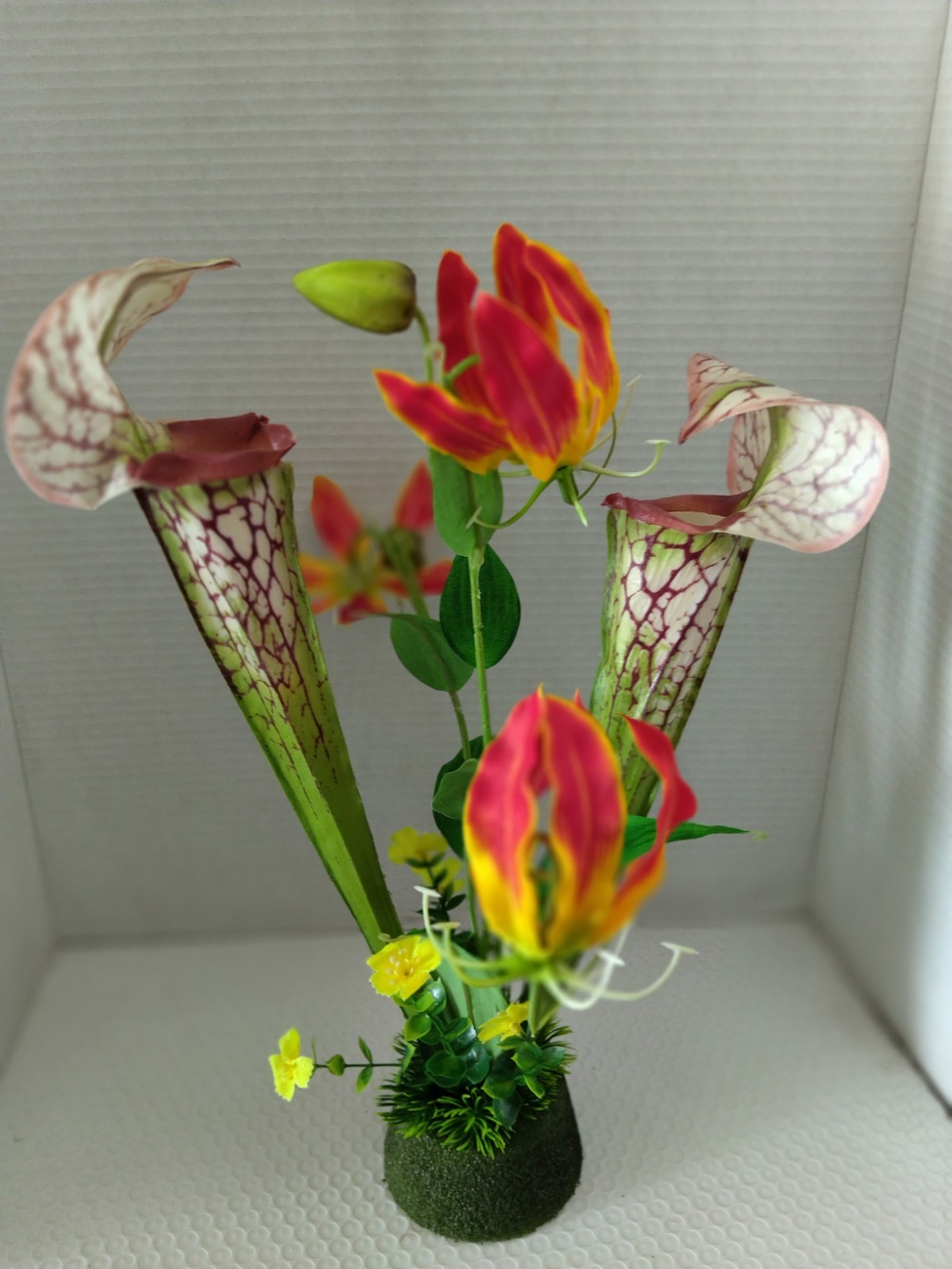 Pitcher plant table Decoration