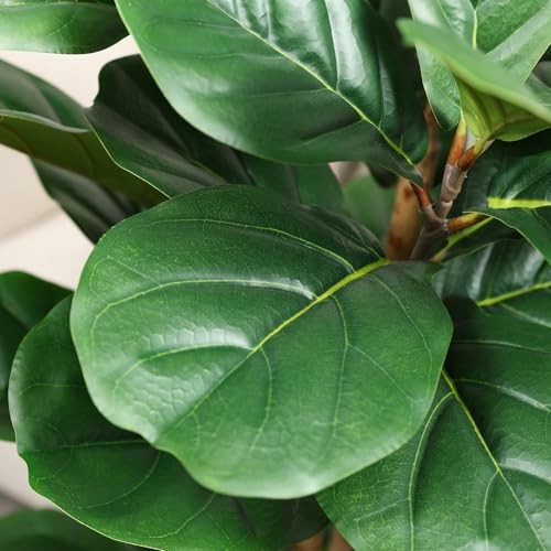 6ft Artificial Fiddle Leaf Fig Tree with White Planter 4 Wood Trunks