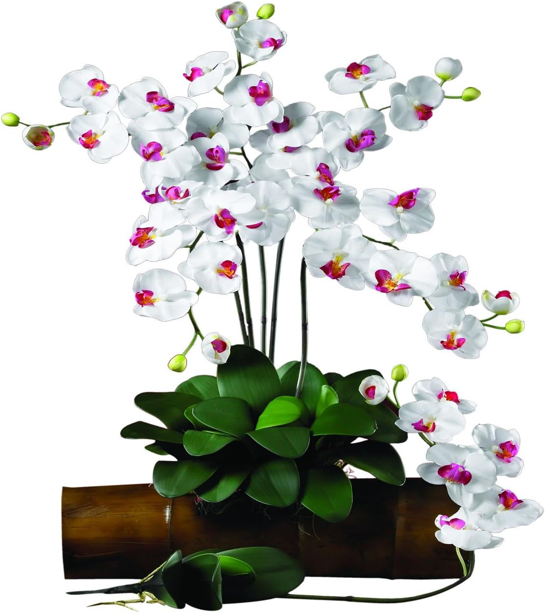 Set of 12 Phalaenopsis Orchid Stems – Perfect for Floral Arrangements!