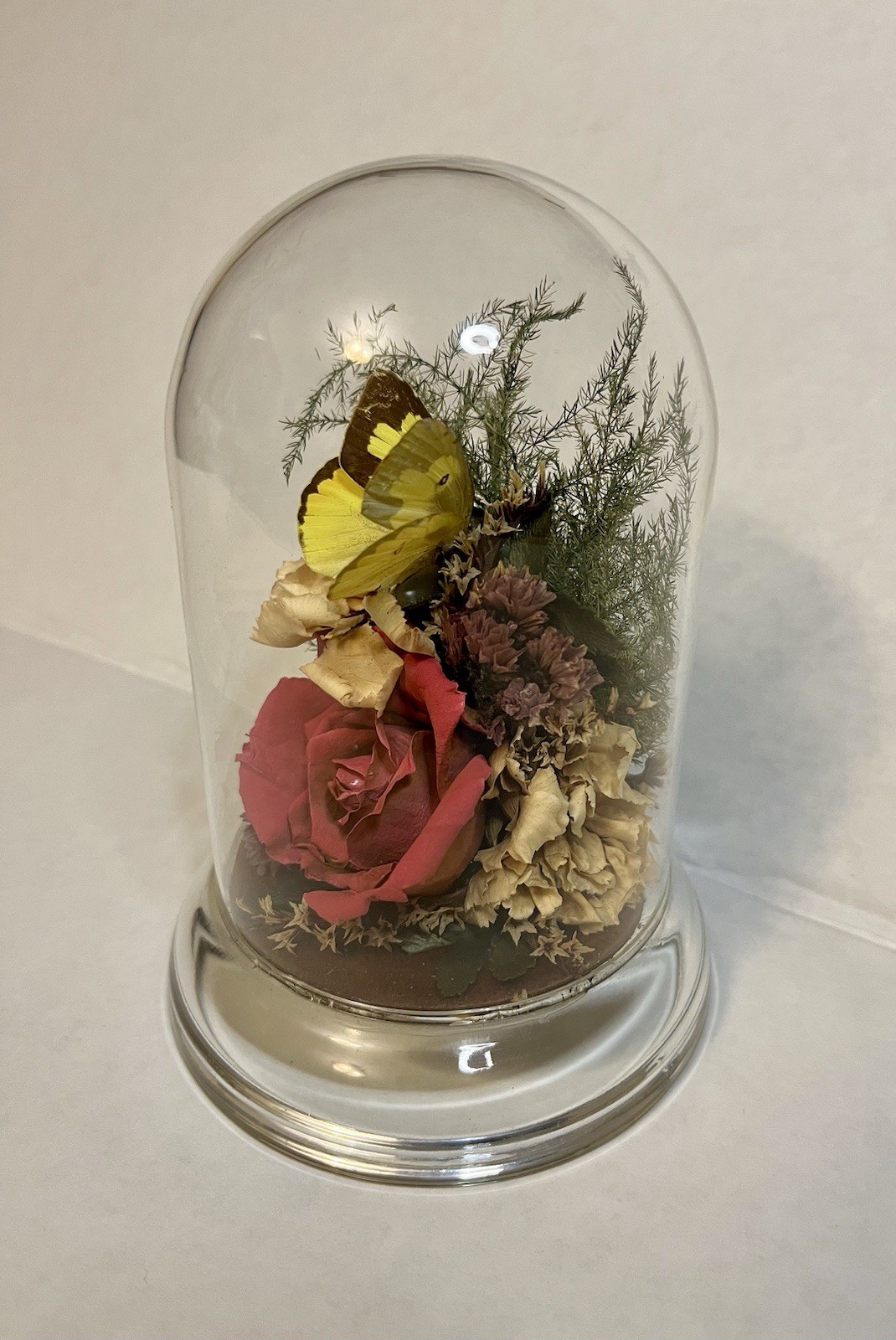 Vintage 90s Natural Expressions Dried Roses Butterfly Glass Terrarium Grannycore
