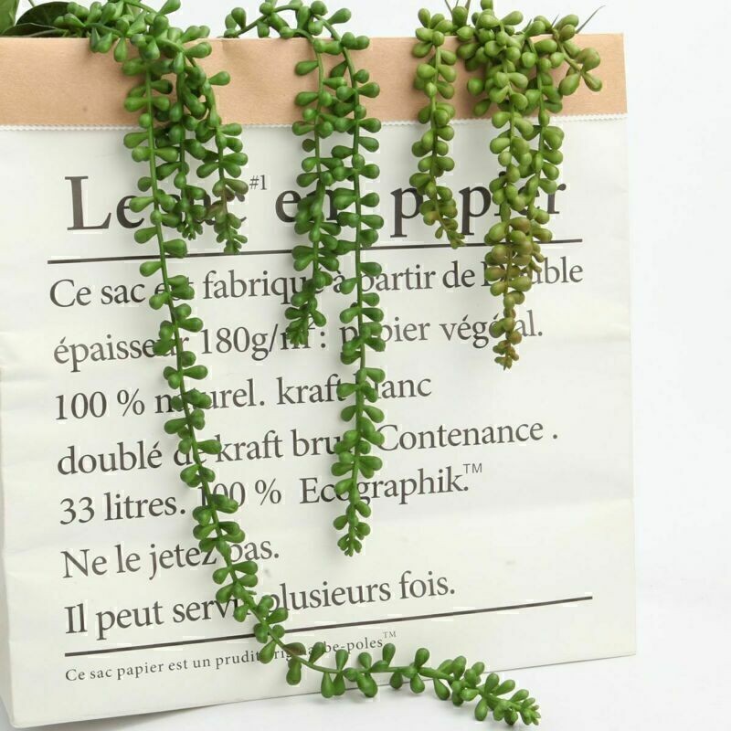 2Pcs 24″ Artificial Succulent Plant Green Vines Flower Hanging Rattan Wall Decor