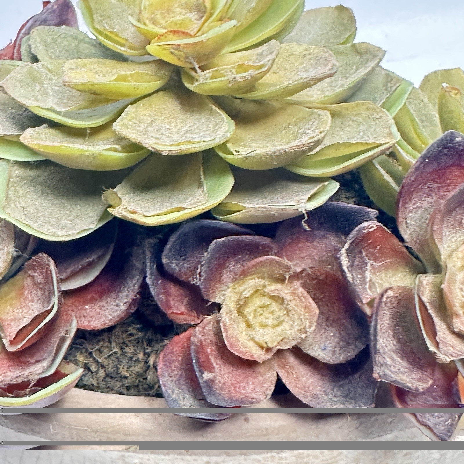 Faux Succulent Plants In Hammered Metal Container 5 In X 6 Inch Looks Real