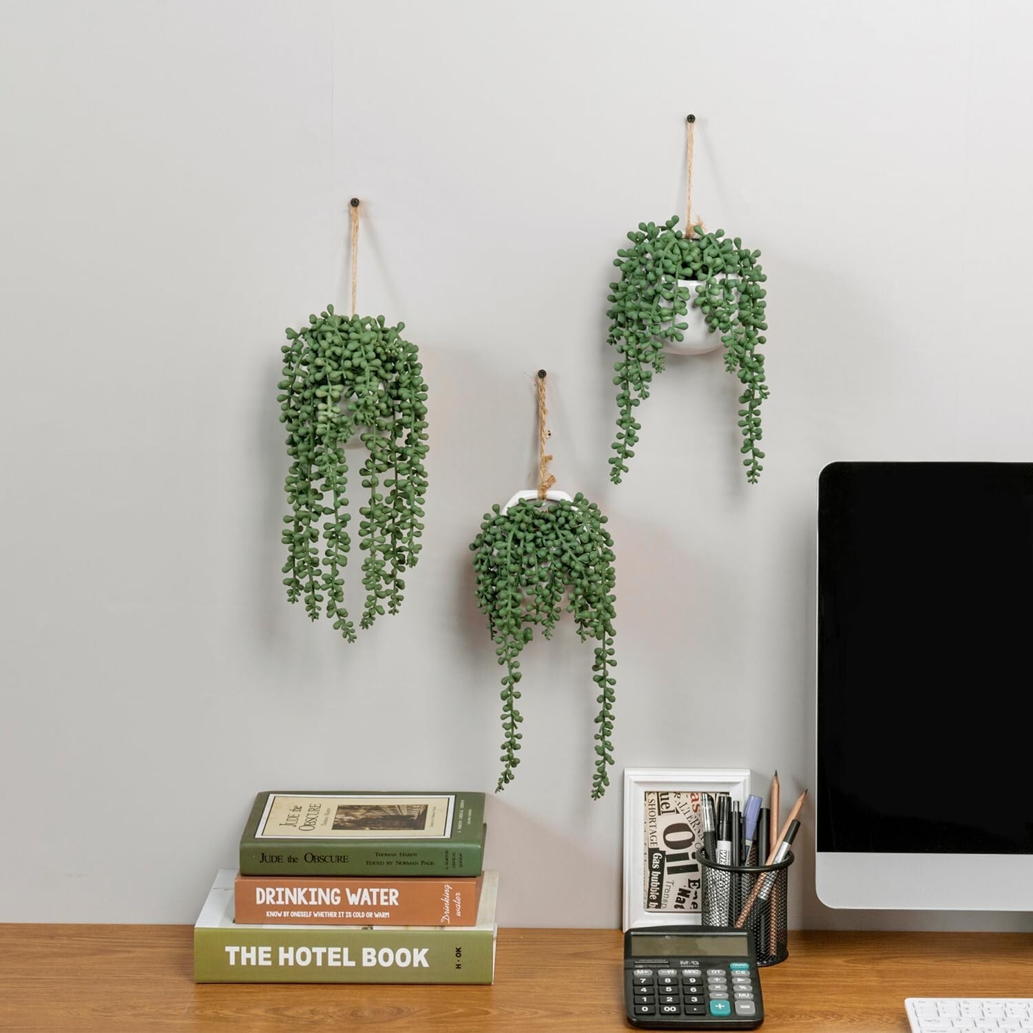 MyGift Set of 3 Faux String of Pearls Plants in White Ceramic Pots with Top Rope