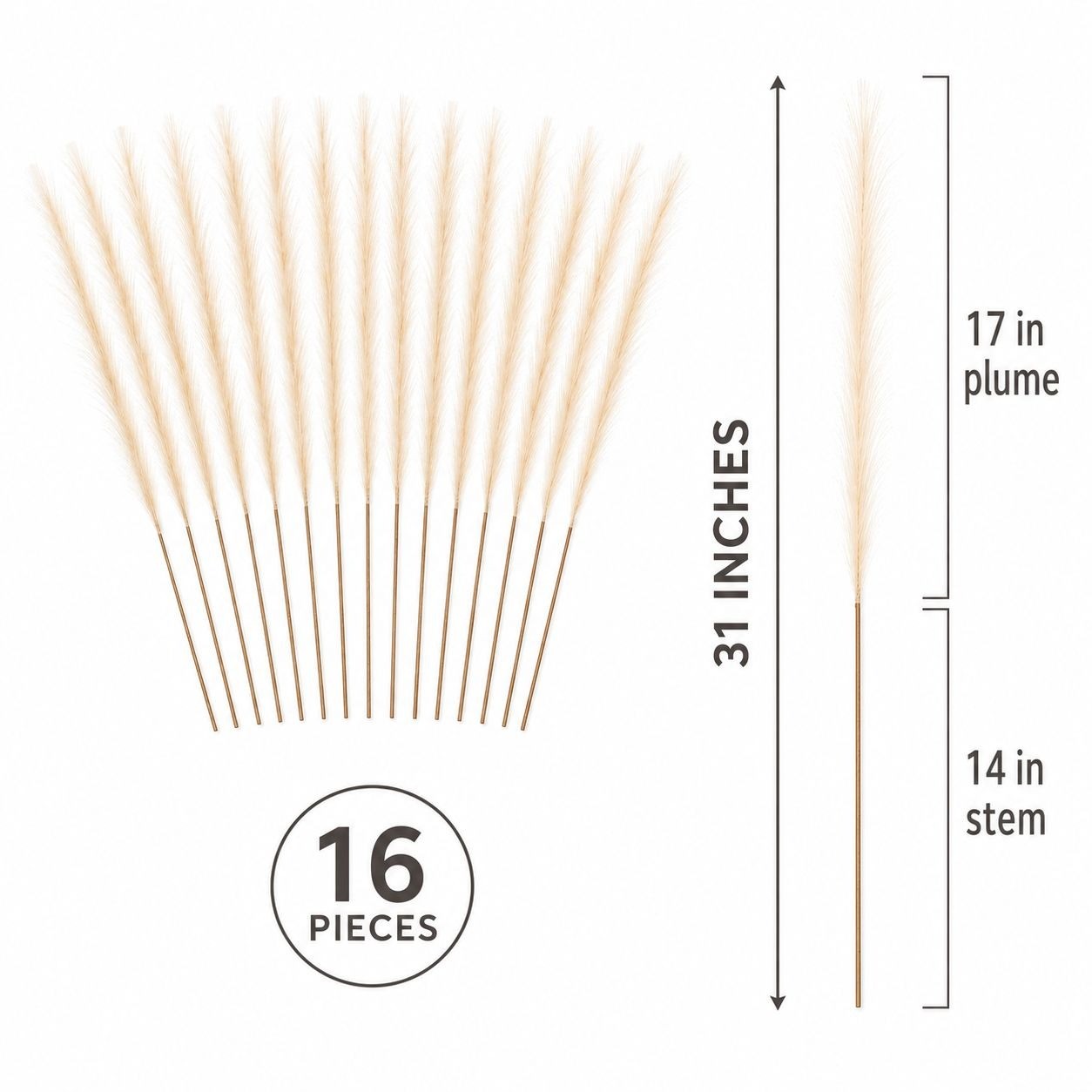 Ivory Artificial Pampas Grass Stems Set of 16, 31 Inch Faux Plumes for Tall Vase