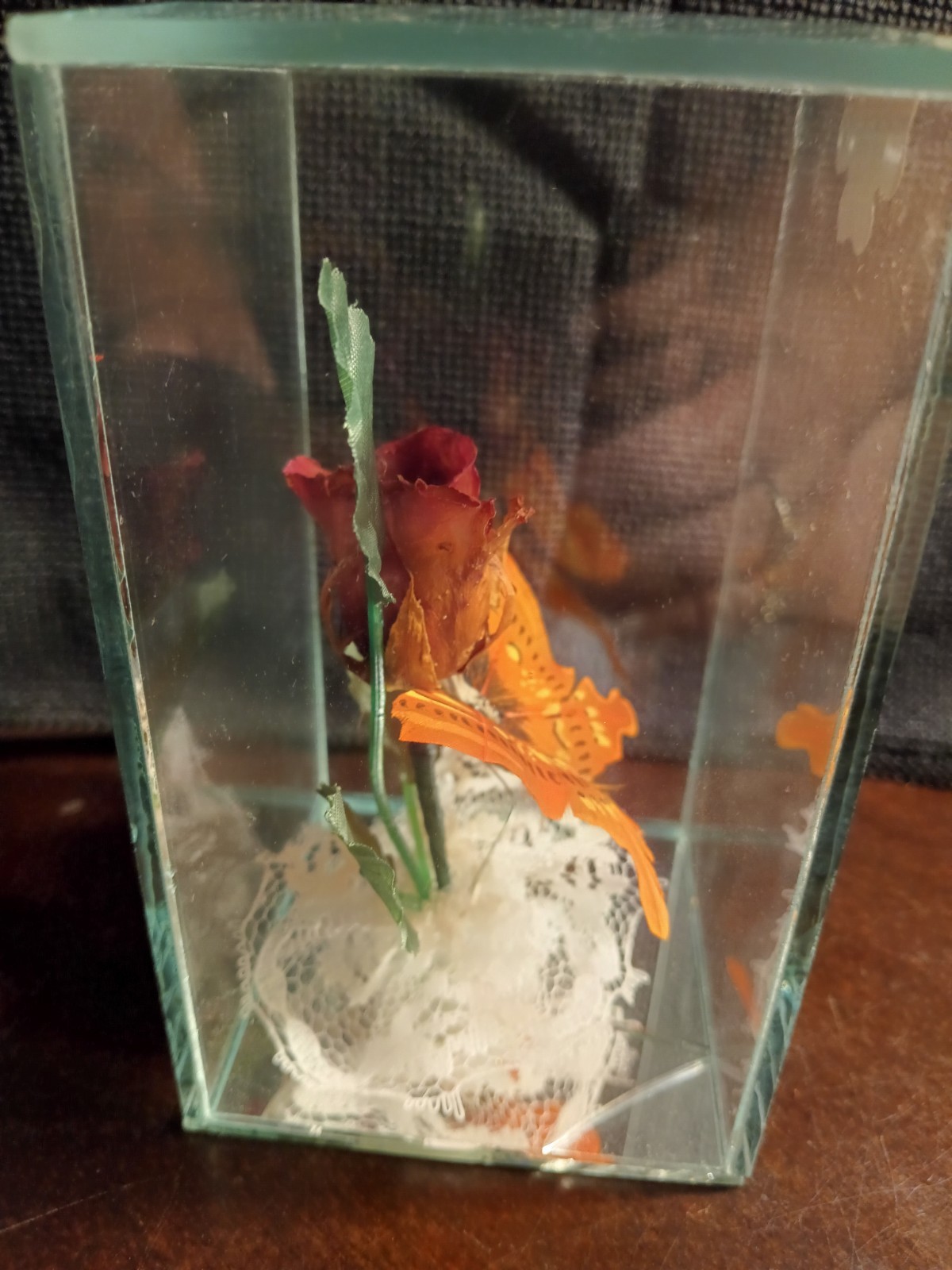 Lifesake Flowers Preserved Real Rose Glass Display ( No Base ) FREE SHIPPING