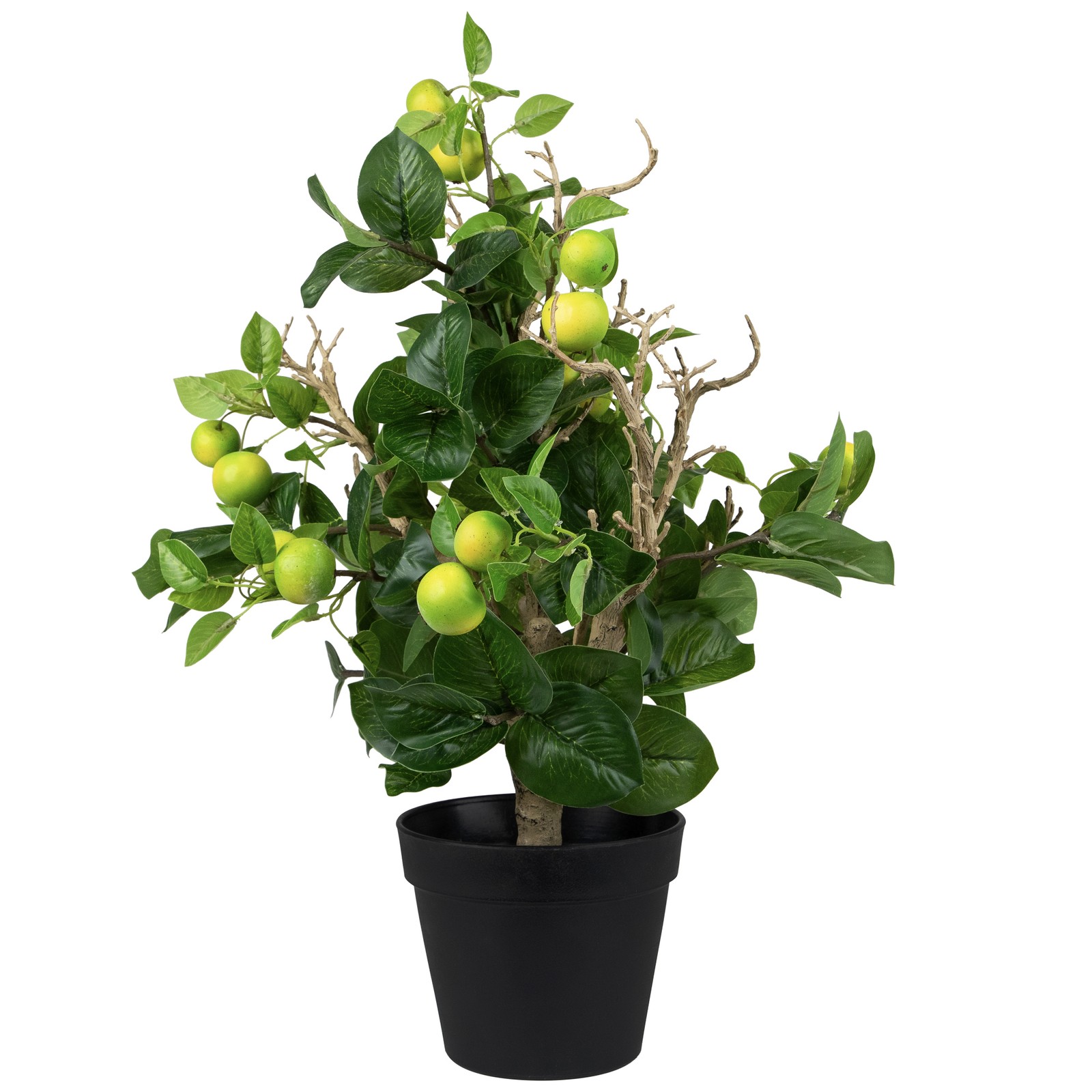 Northlight 23″ Artificial Potted Bonsai-Style Decorative Green Apple Tree