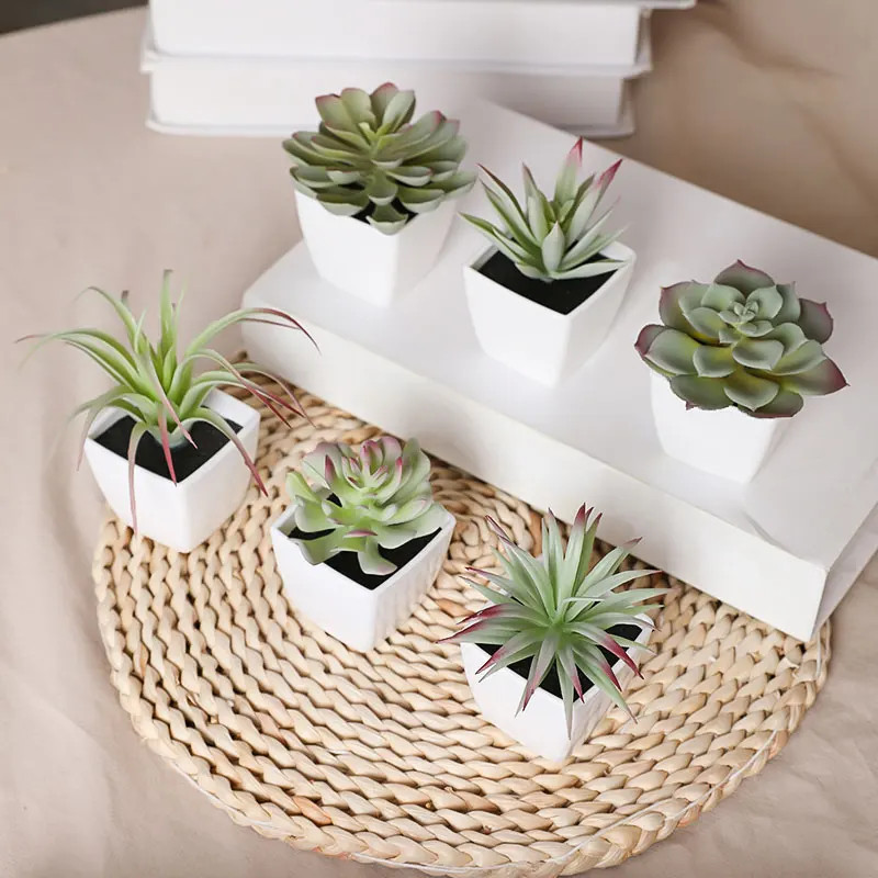 6PCS (SET) Mini Artificial Succulent Green Plant Plastic Wwhite Basin, Home Win