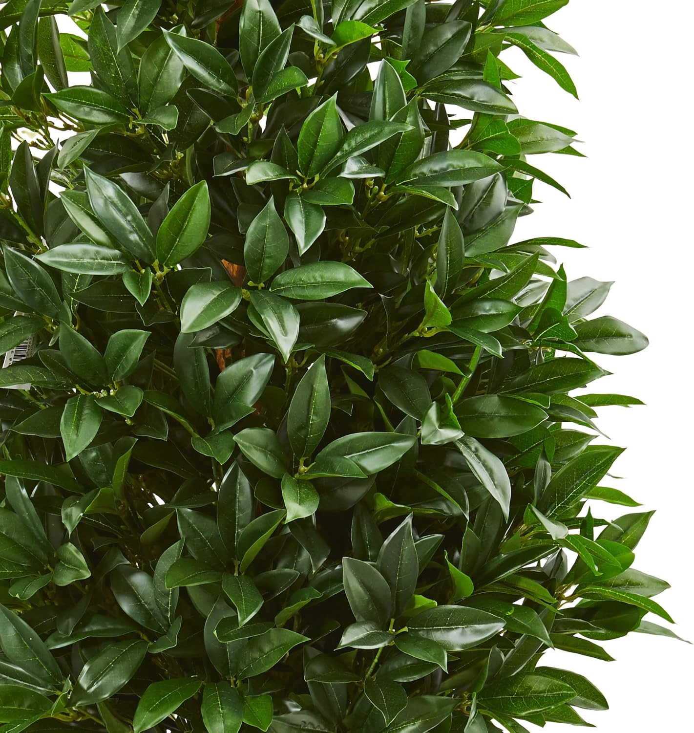 56″ UV Resistant Bay Leaf Topiary Tree in Black Planter for Indoor/Outdoor Use