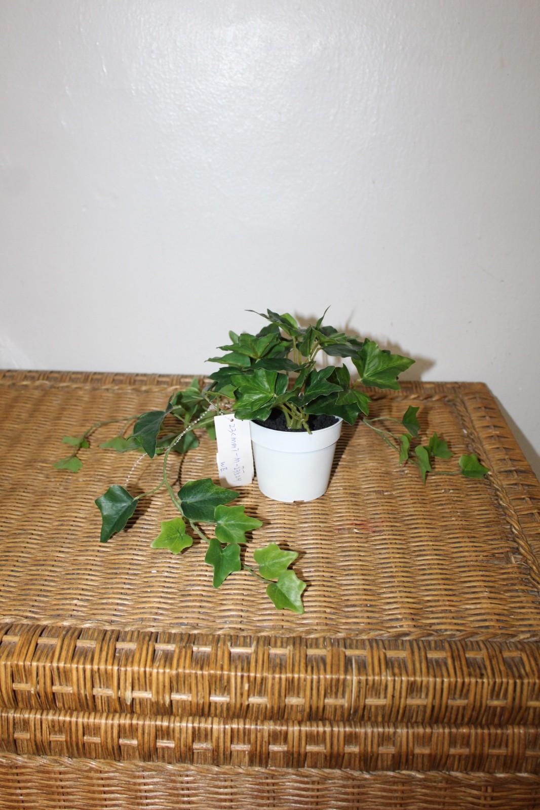 Williams Sonoma Artificial Potted Green Leaf.