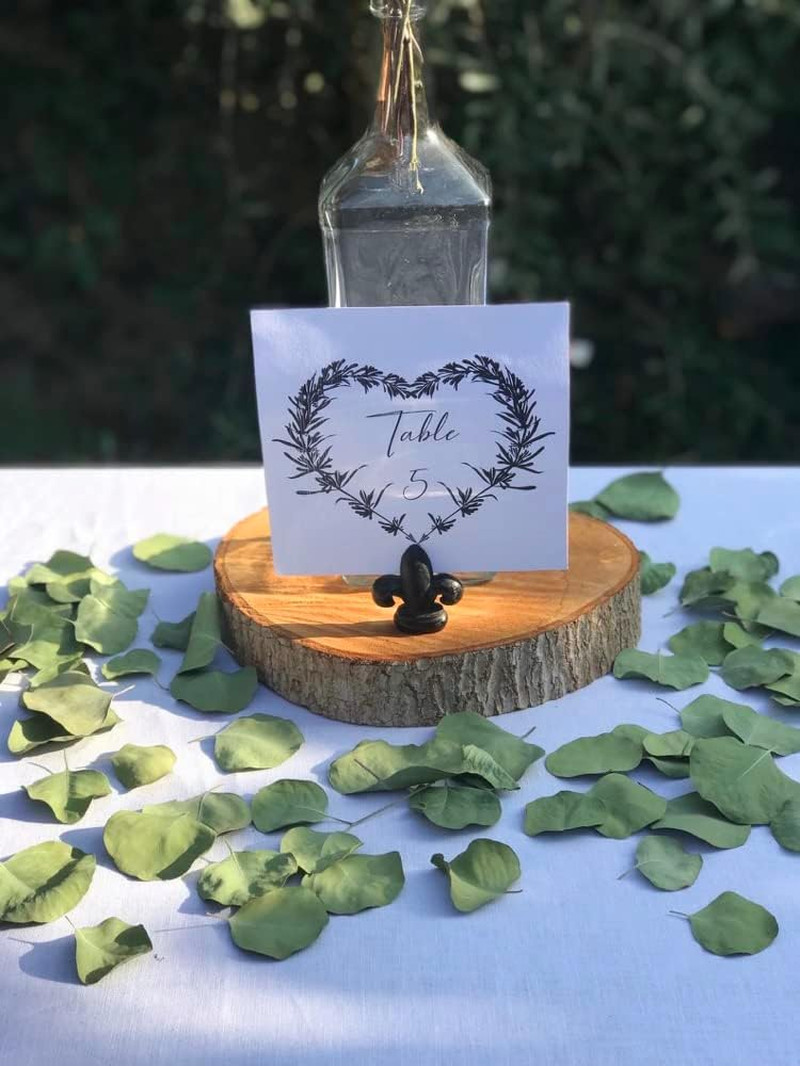 300+ Pcs Dried Real Eucalyptus Leaves,100% Natural Biodegradable Confetti for We