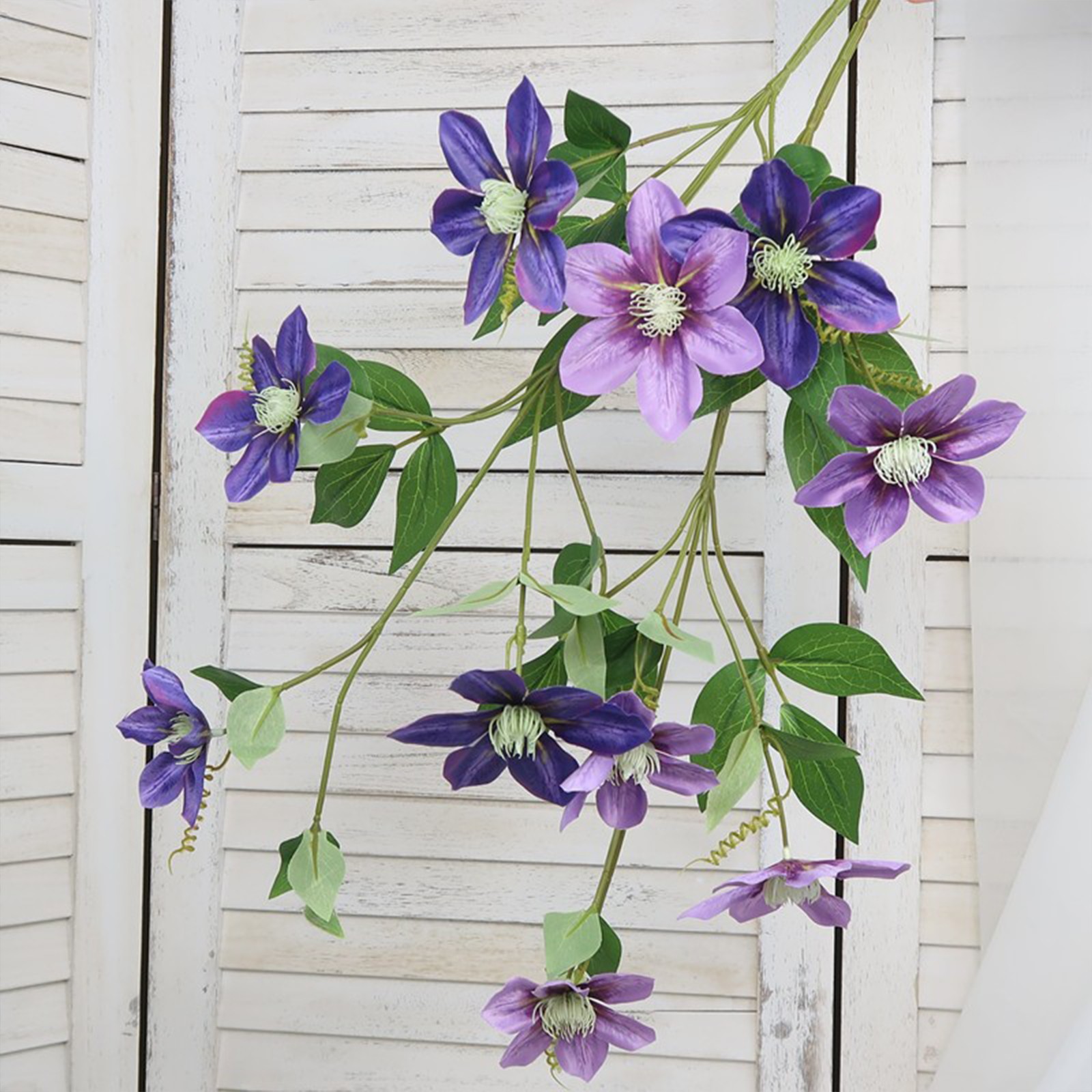 New European-style 5-headed Clematis – Deep Purple 85cm Tall Per Stem HOT