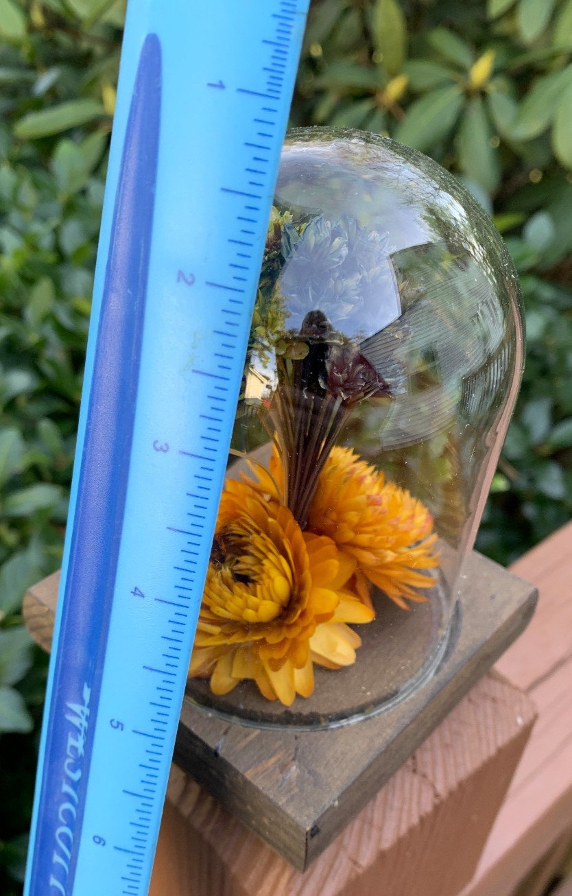 VTG Leonard Creations California Dried Flower Glass Dome on Wood Base w/ Sticker
