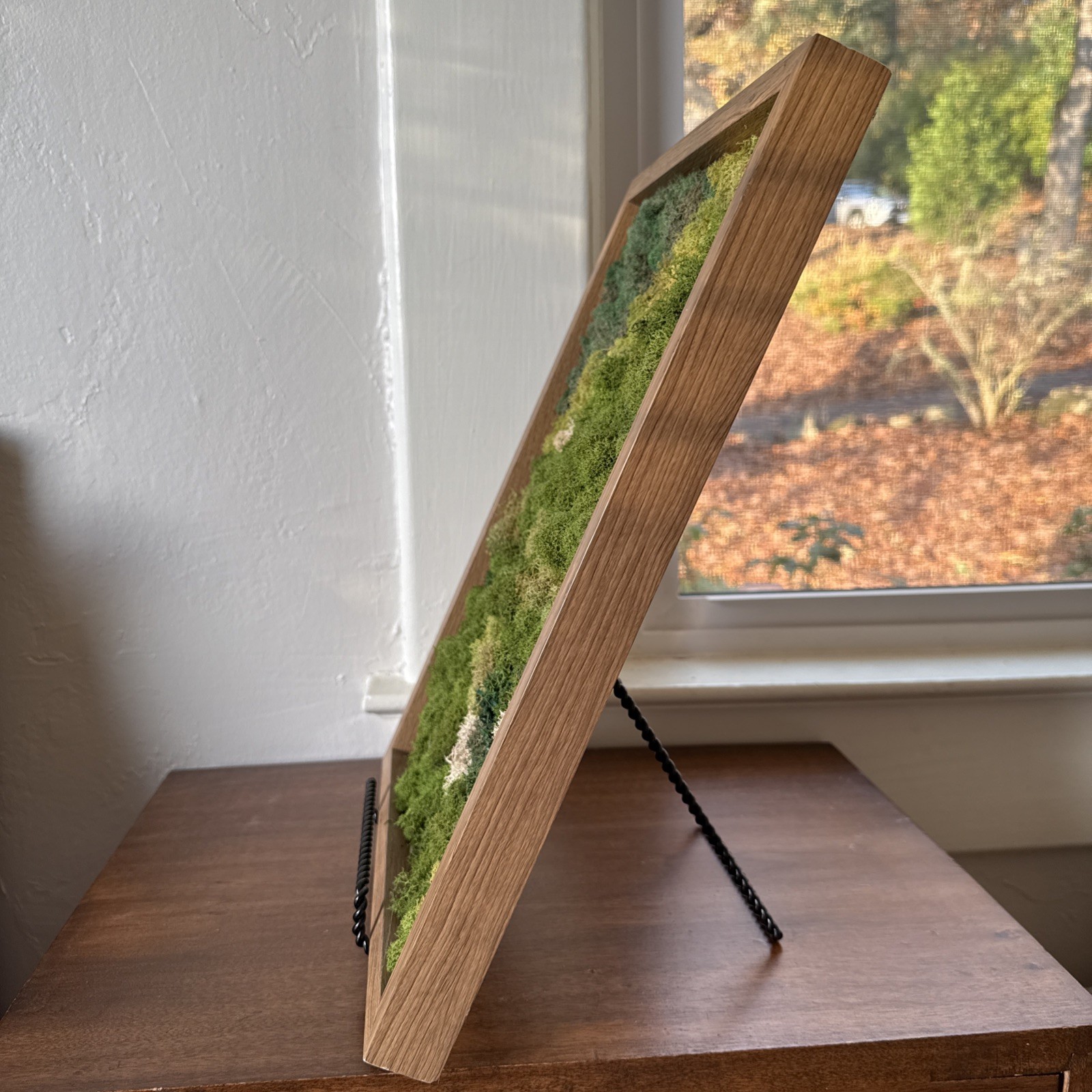 Preserved Moss Wall Art, Handmade, Wood Framed