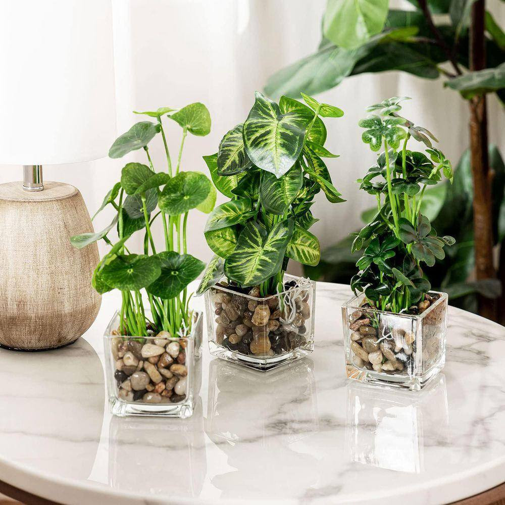 9.5 In. Green Indoor Small Artificial Potted Plants in Clear Glass Pot Set of 3