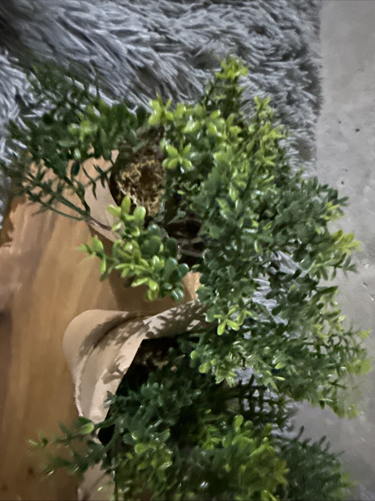 set of 5 faux plants