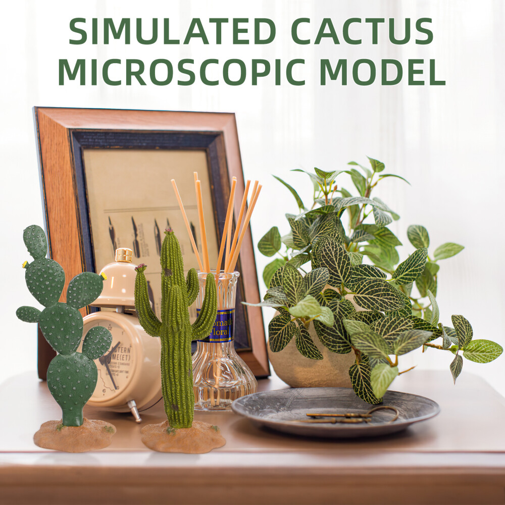 2 Pcs Decorative Cactus Artificial Plants Model Office Fake Greenery Décor