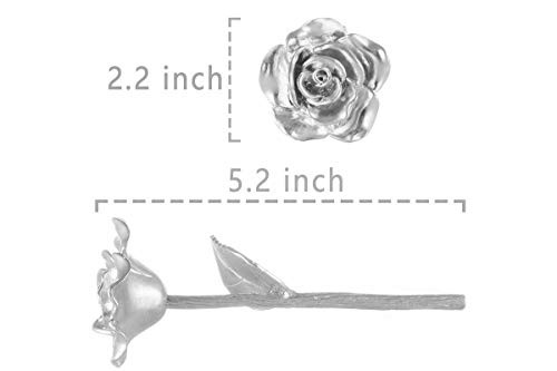 Beszone Tin Rose 10Th Anniversary For Her Gift – Tin Gift 10 Year Wedd