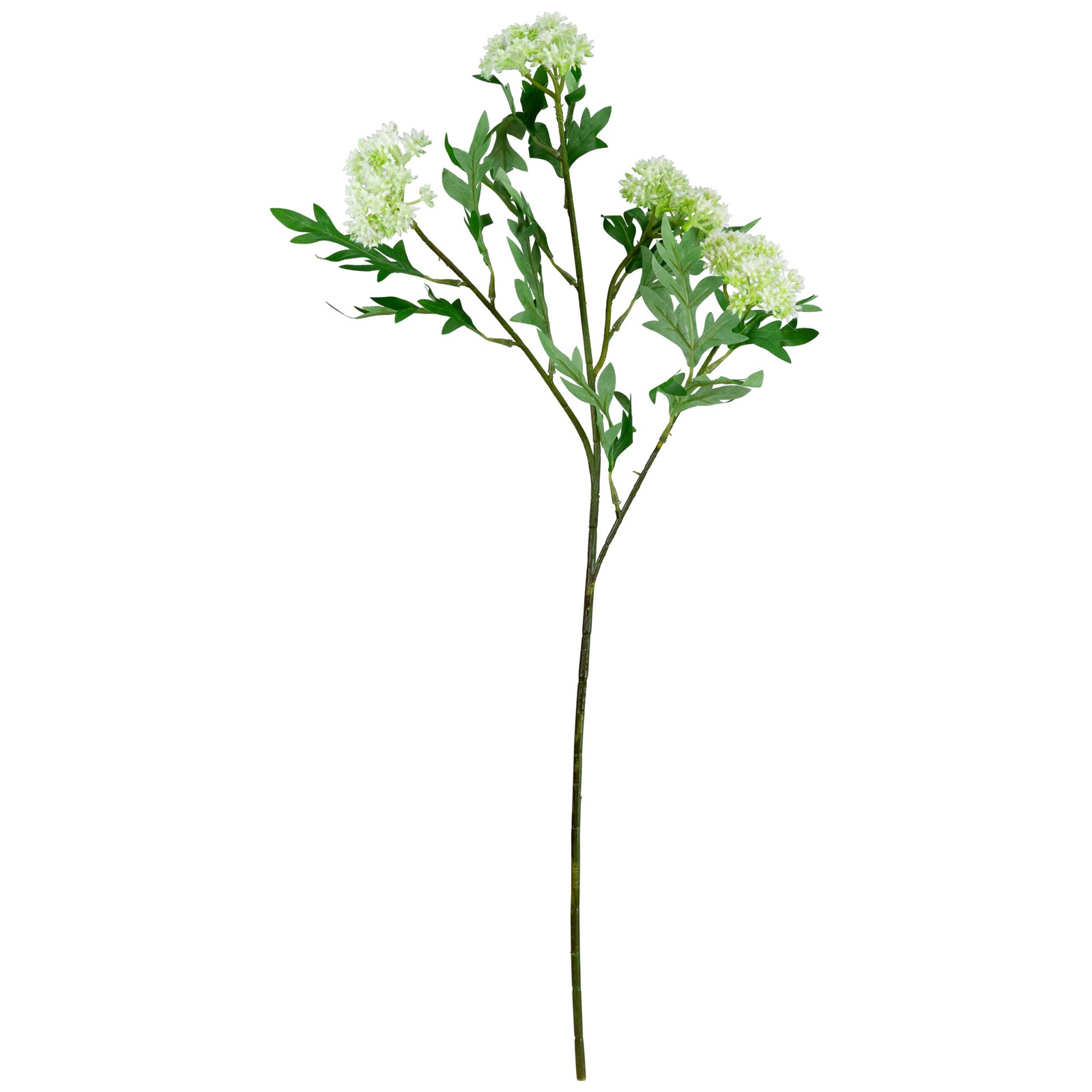 Northlight Finch Laceflower Artificial Floral Sprays- 27″ – White and Green –