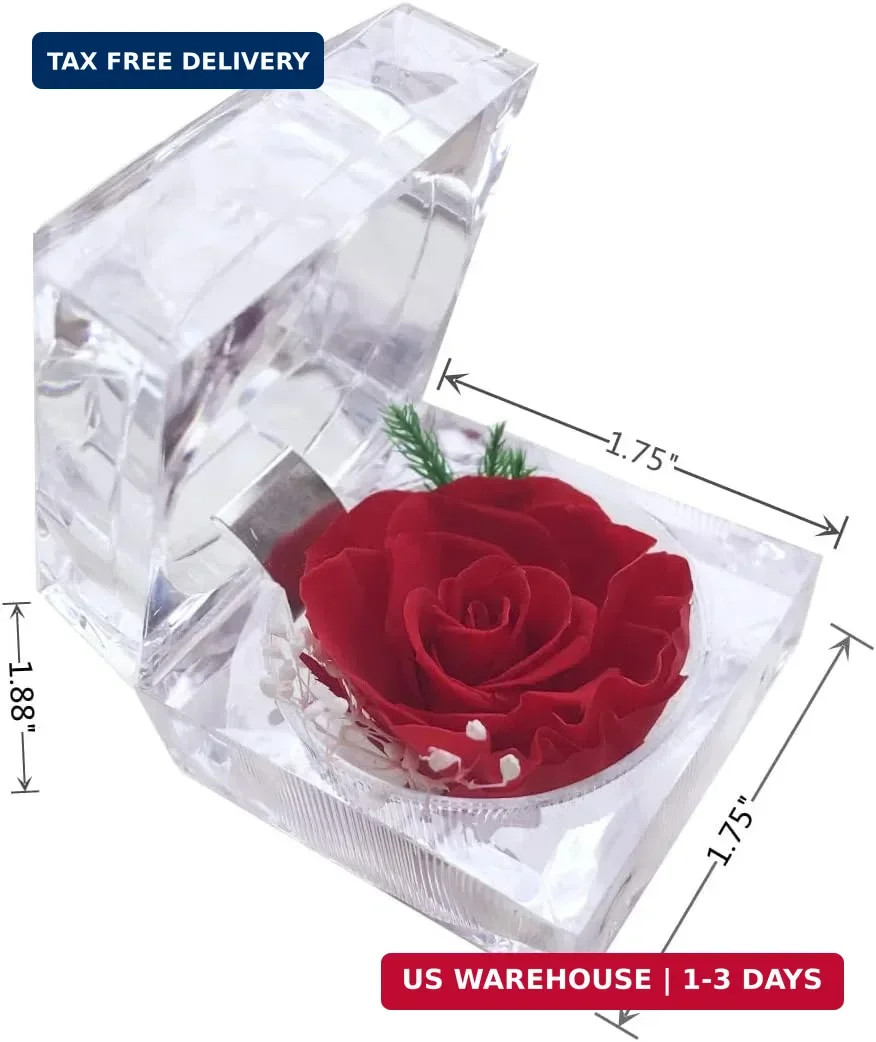 Preserved Rose Real Forever Rose in Mini Clear Ring Box, Eternal Flower Rose Gif