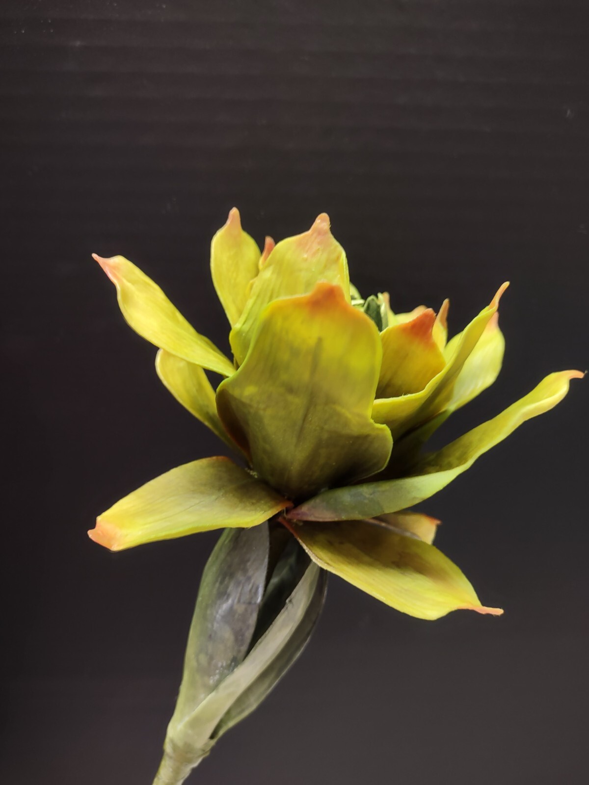 Artificial rose ginger lily, Hawaiian flowers, tropical flower stems LIME GREEN