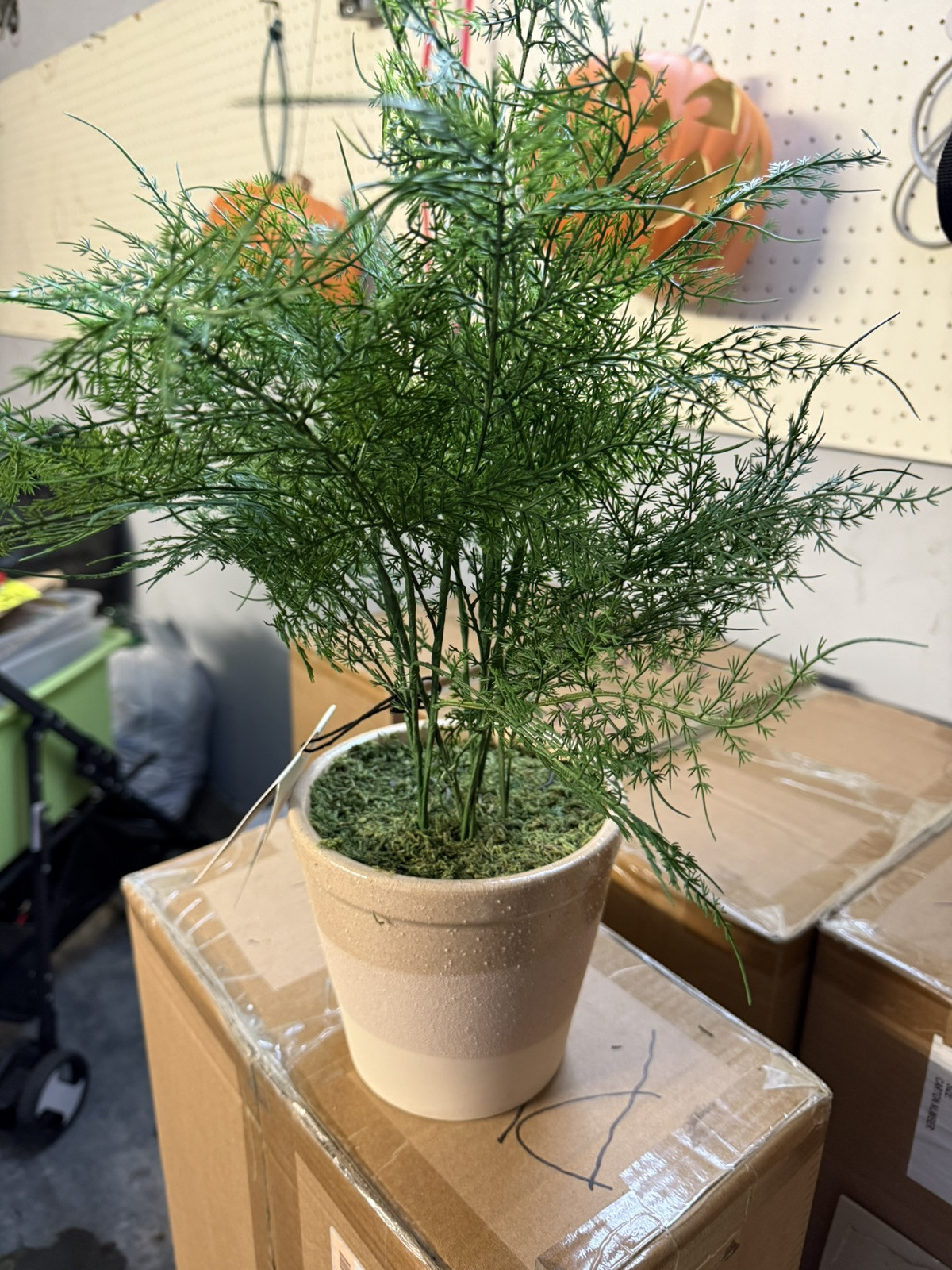 Hearth and Hand with Magnolia Artificial Faux Potted Plants Asparagus Fern