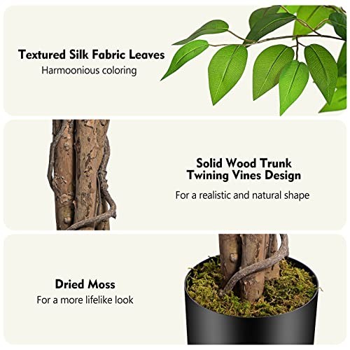 6.2ft Ficus Artificial Trees with 3 Natural Curved Trunks, 74″ Tall 6ft 2in 1