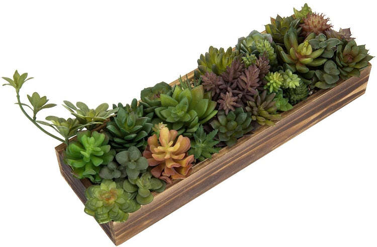 Artificial Succulent Arrangement Plants in 15.75 Inch Rustic Burnt Wood Box