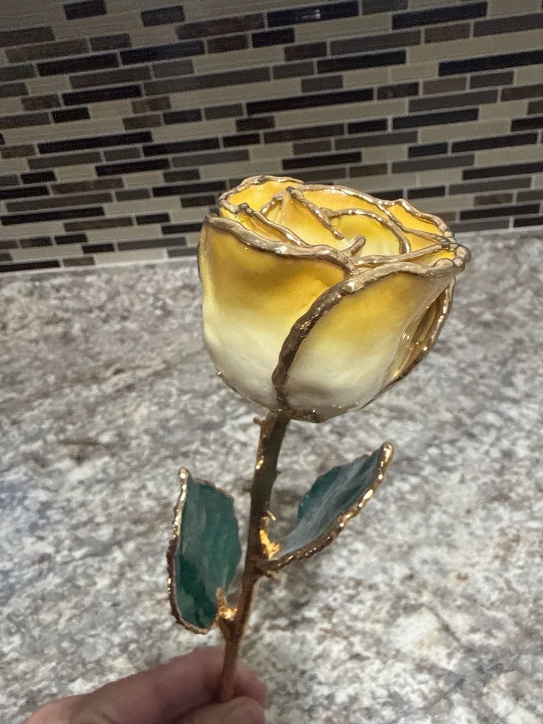 24K Gold Dipped Cream and Yellow Lacquered Real Long Stem Rose