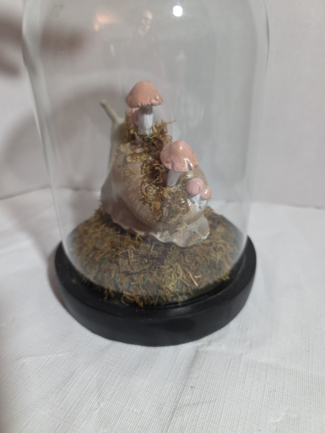 Snail And Mushroom Cloche Terrarium Glass Dome Curiosity Cottage Core