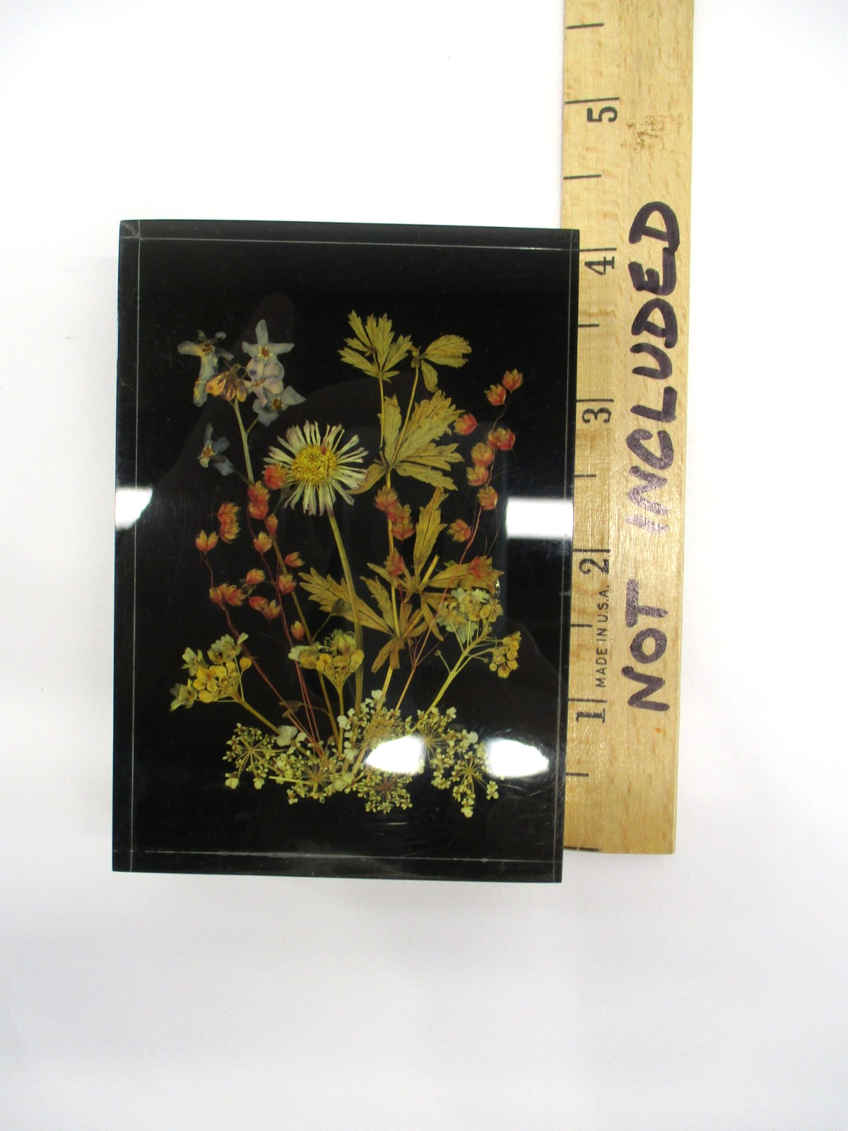 Vtg Lucite Pressed Dried Flowers DINA-Brilliant #1710 10×7 cm W. Germany Picture