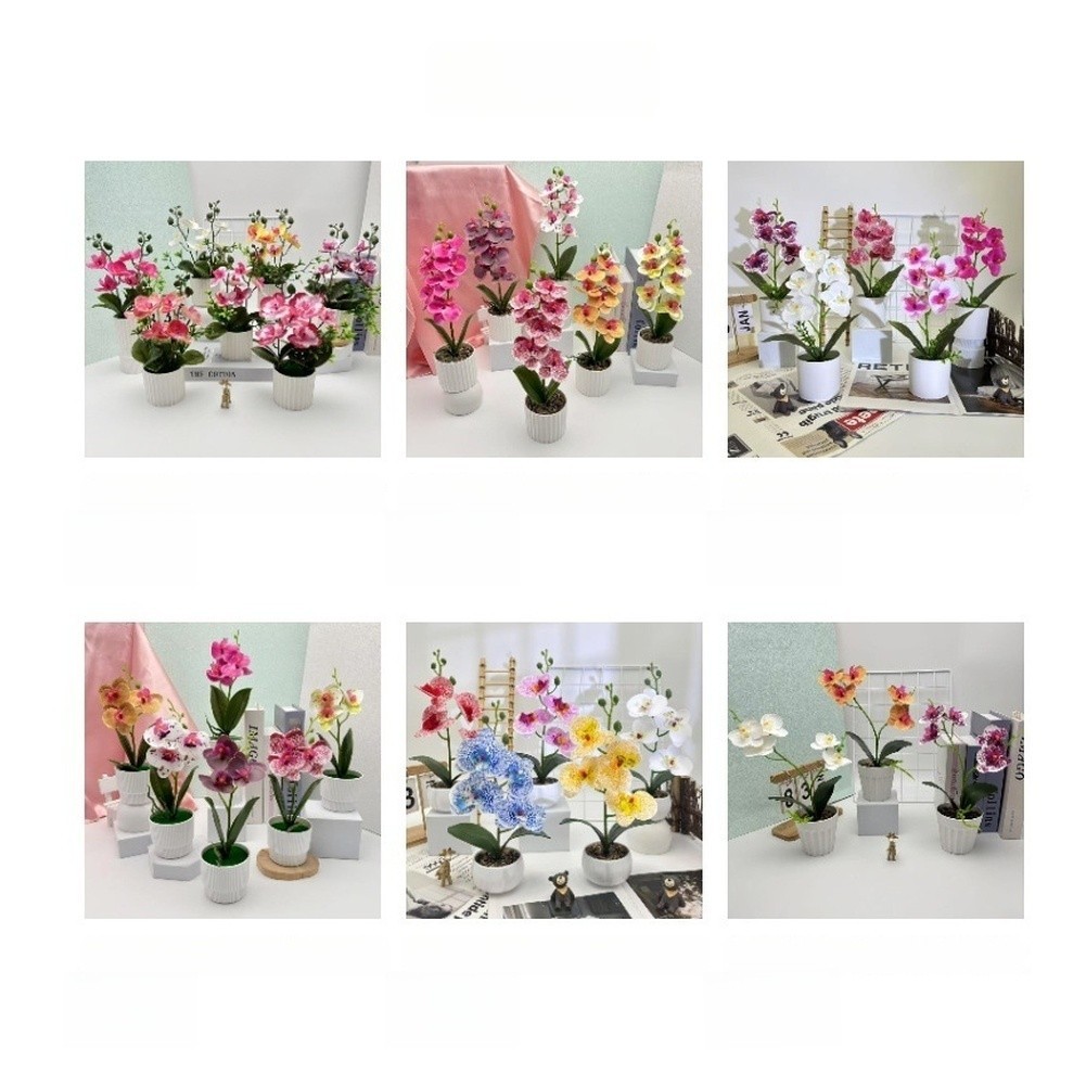 Modern Minimalist Phalaenopsis Orchid Bonsai Potted Plant for Tabletop Use