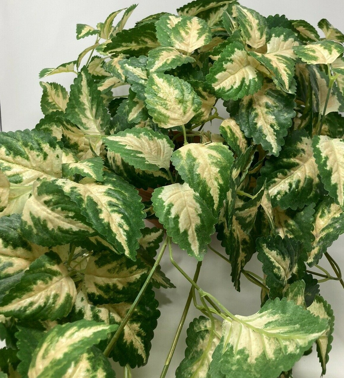 Hanging Silk Plant Natural Looking Coleus (?) Moss Terracotta Pot Tropical 36″