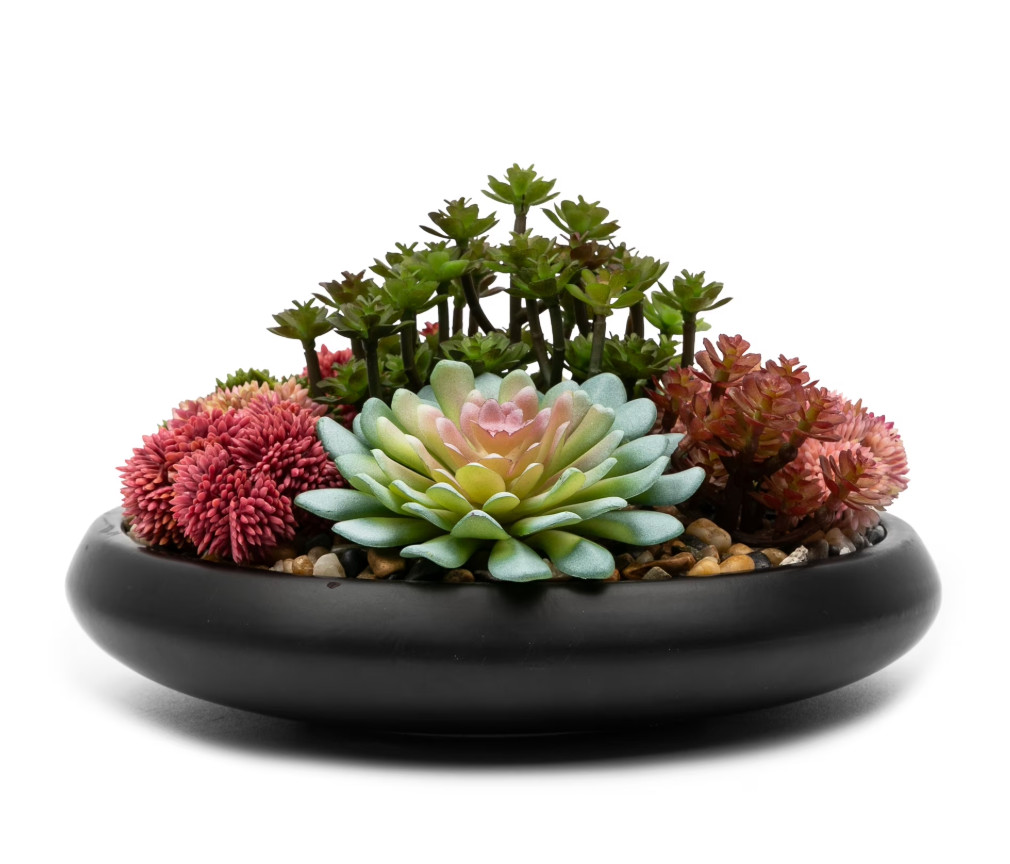 Better Homes & Gardens Artificial Mixed Succulent in Black Round Ceramic Bowl