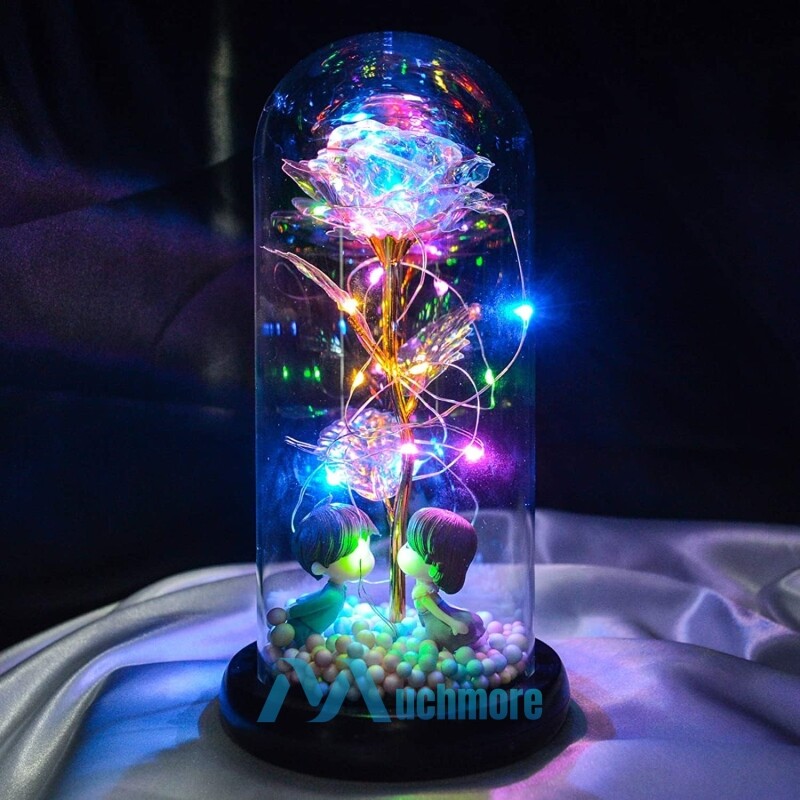 Enchanted Preserved Rose Flower In Dome Glass LED Night Light Anniversaries Gift