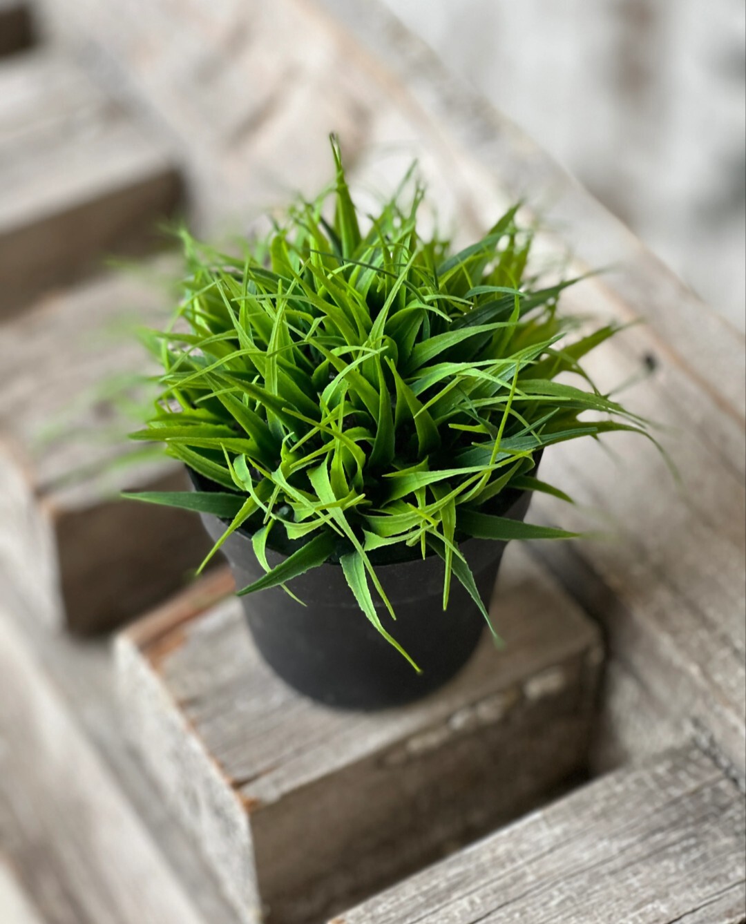 4-1/4″ Greenpoint Grass Greenery Plant Floral Decor Shelf Sitter Artificial