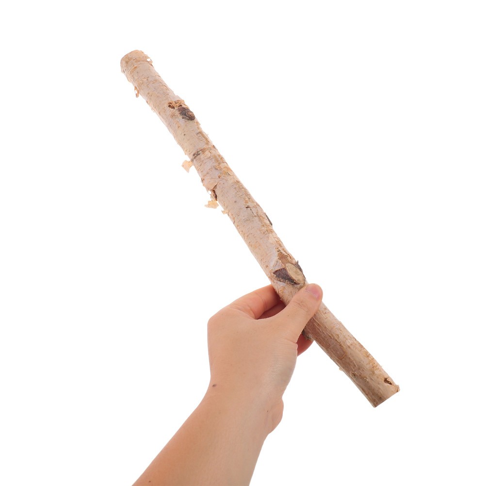 Natural Birch Wood Logs for Fireplace Decorative Rustic Firewood Bundle