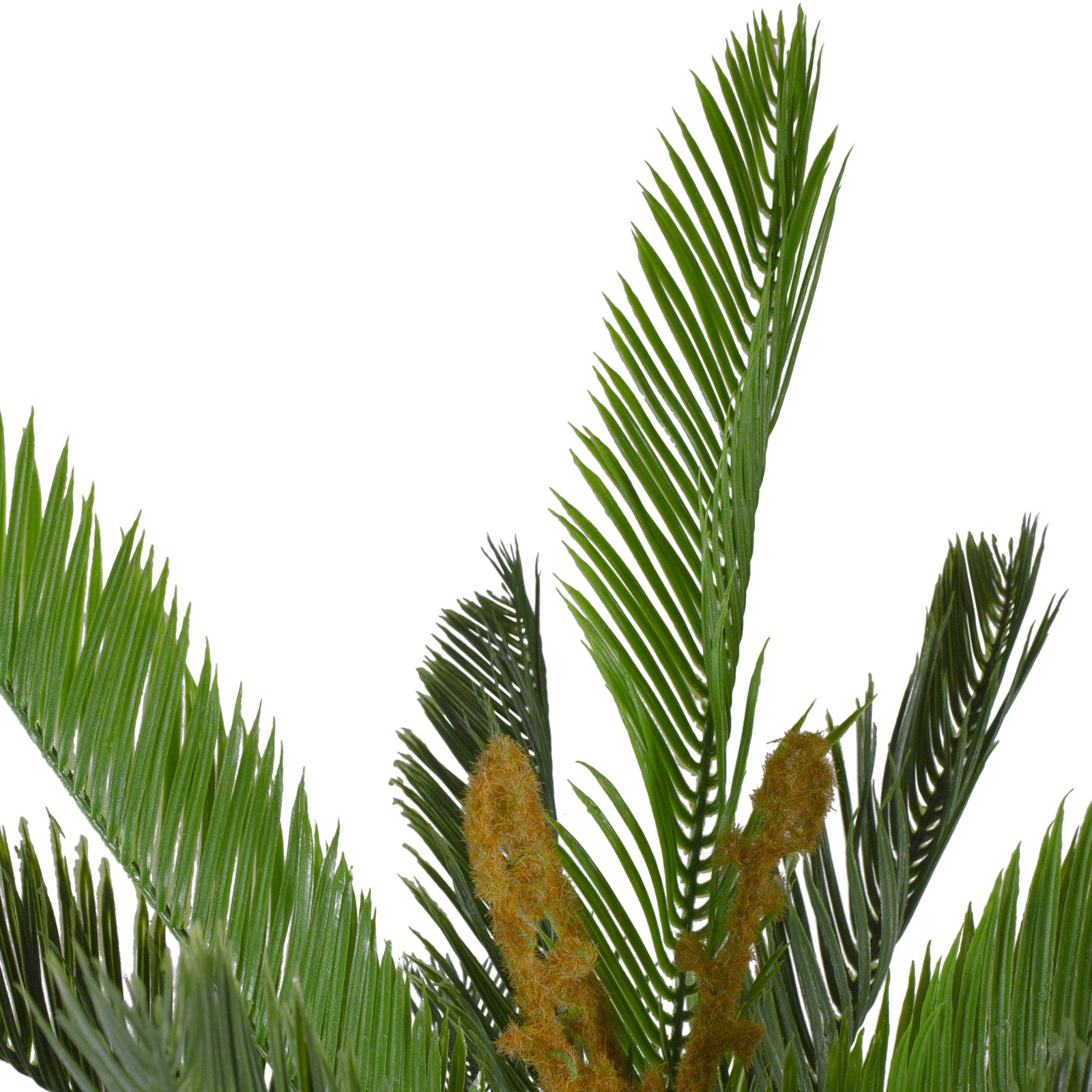 Northlight 5′ Potted Two Tone Green Cycas Artificial Floor Plant