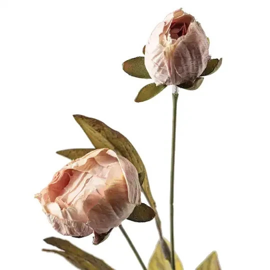 Viral Michael’s Ashland TAN Peony Stem YOU CHOOSE QUANTITY bundle save TIKTOK