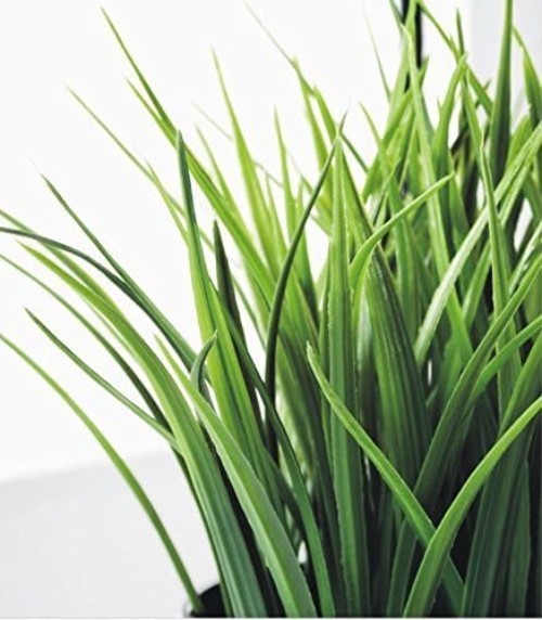 Durable UV Resistant Artificial Grass Plants – Stylish Decor for Every Occasion