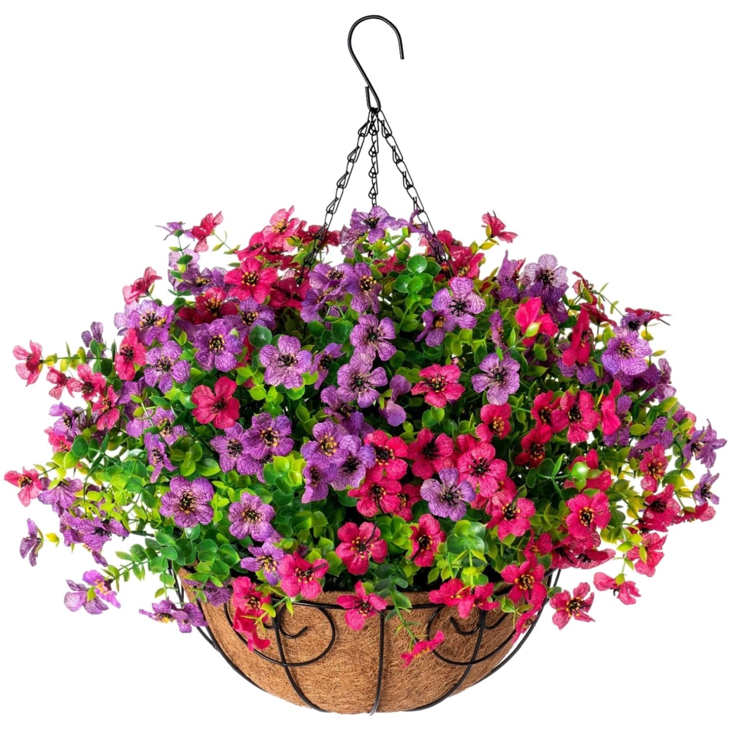 Colorful Daisy Eucalyptus Hanging Basket