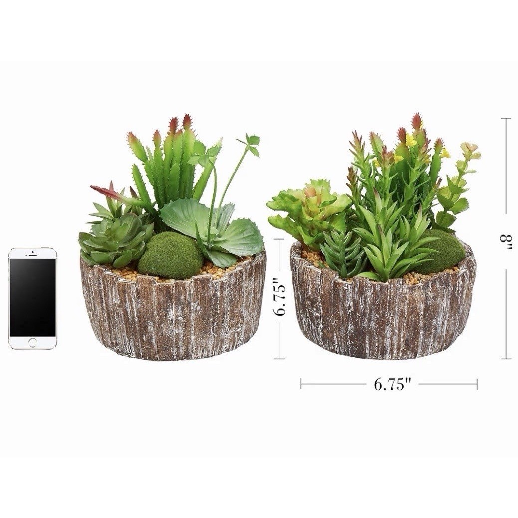 Pure Garden Set of 2 Faux Succulents in Concrete Planters 50-LG1146 8in Tall