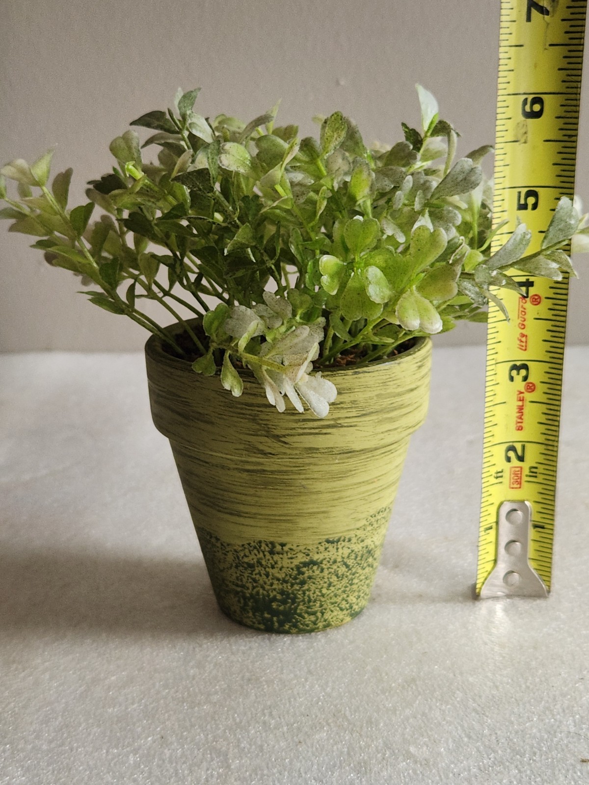 Small Green Ceramic Flower Pot with Artificial Baby Tear Plant • Pot 3⅜” Tall