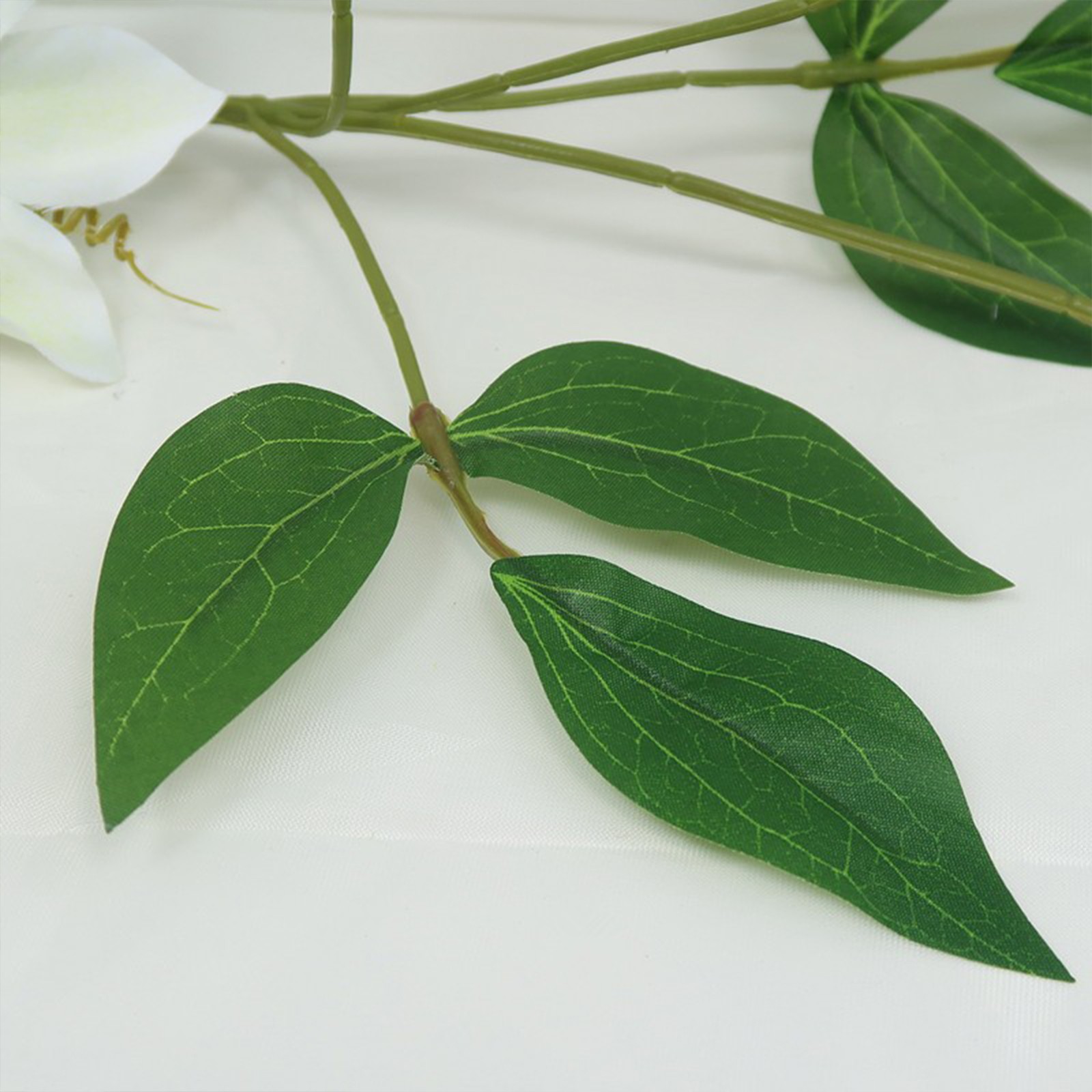 New European-style 5-headed Clematis – Deep Purple 85cm Tall Per Stem HOT