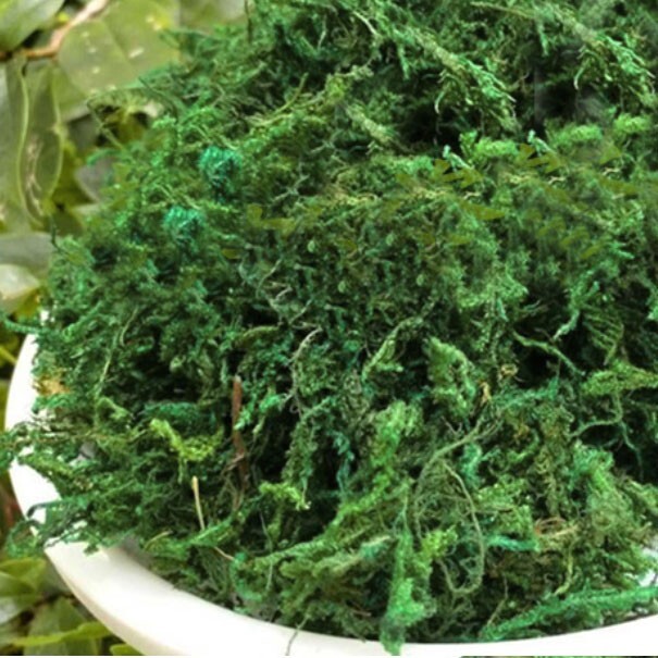 3 oz (85g) Artificial Plant Moss DIY Fake Plastic Flower Garden Micro Landscape